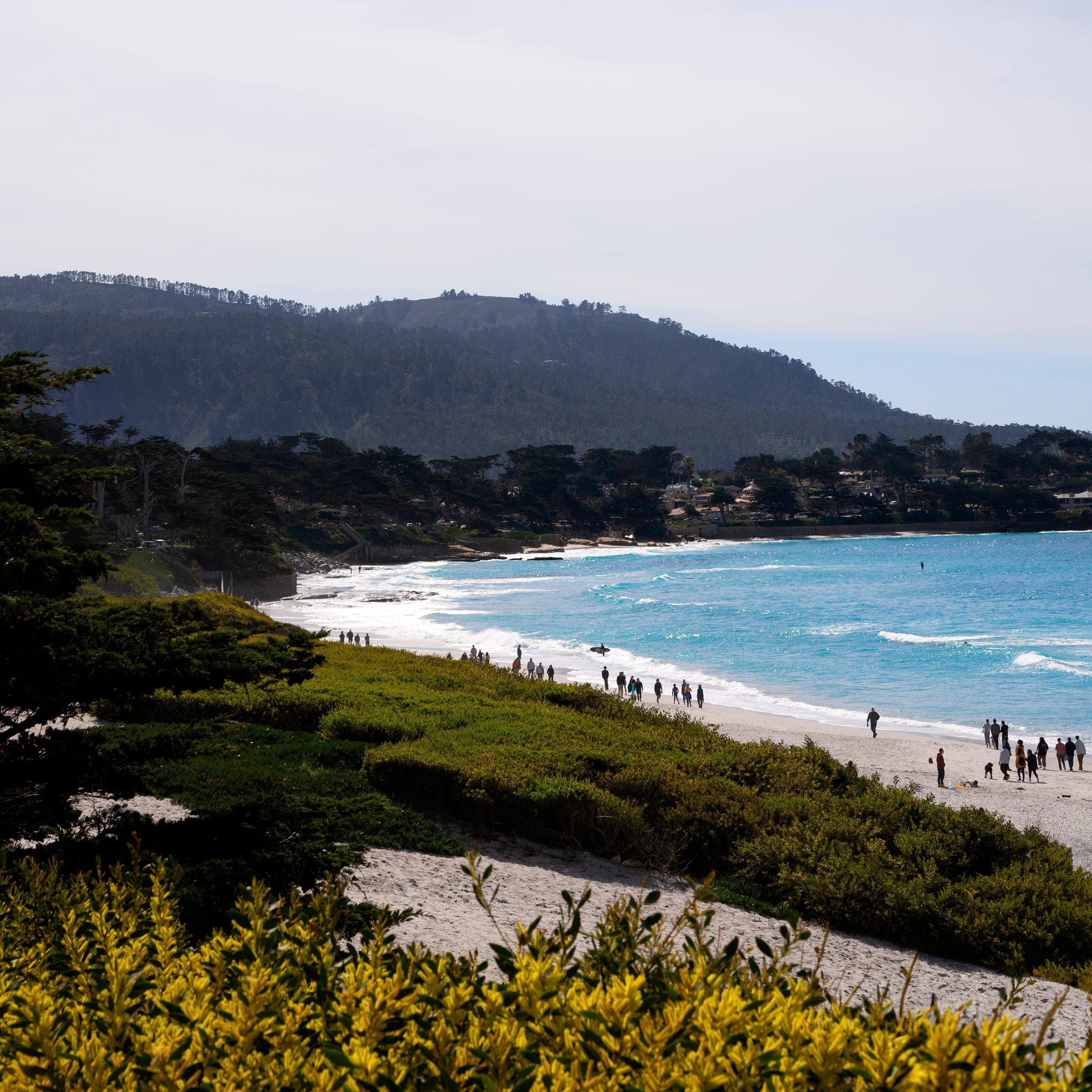Views — photograph 2
