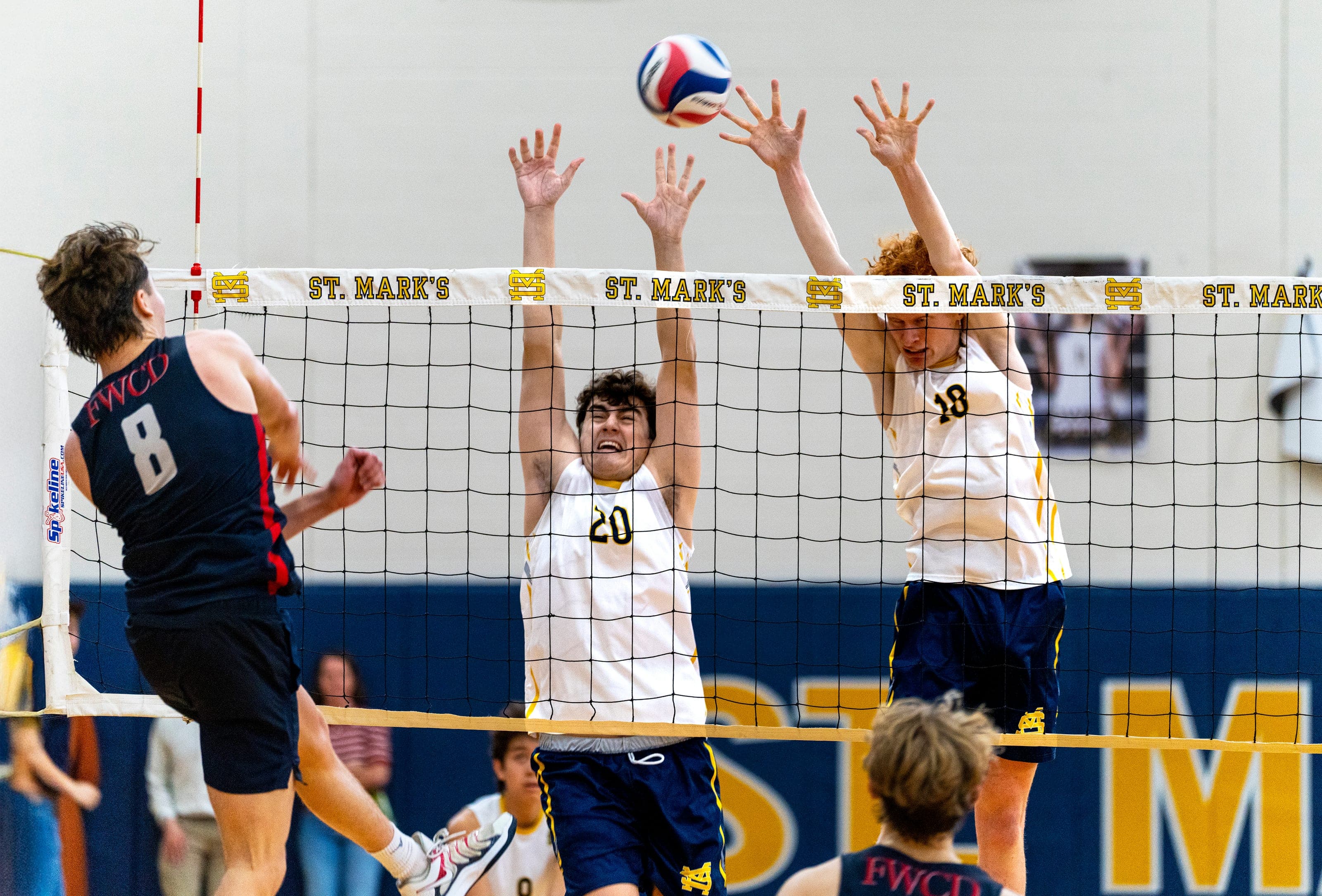 Sports — photograph 7