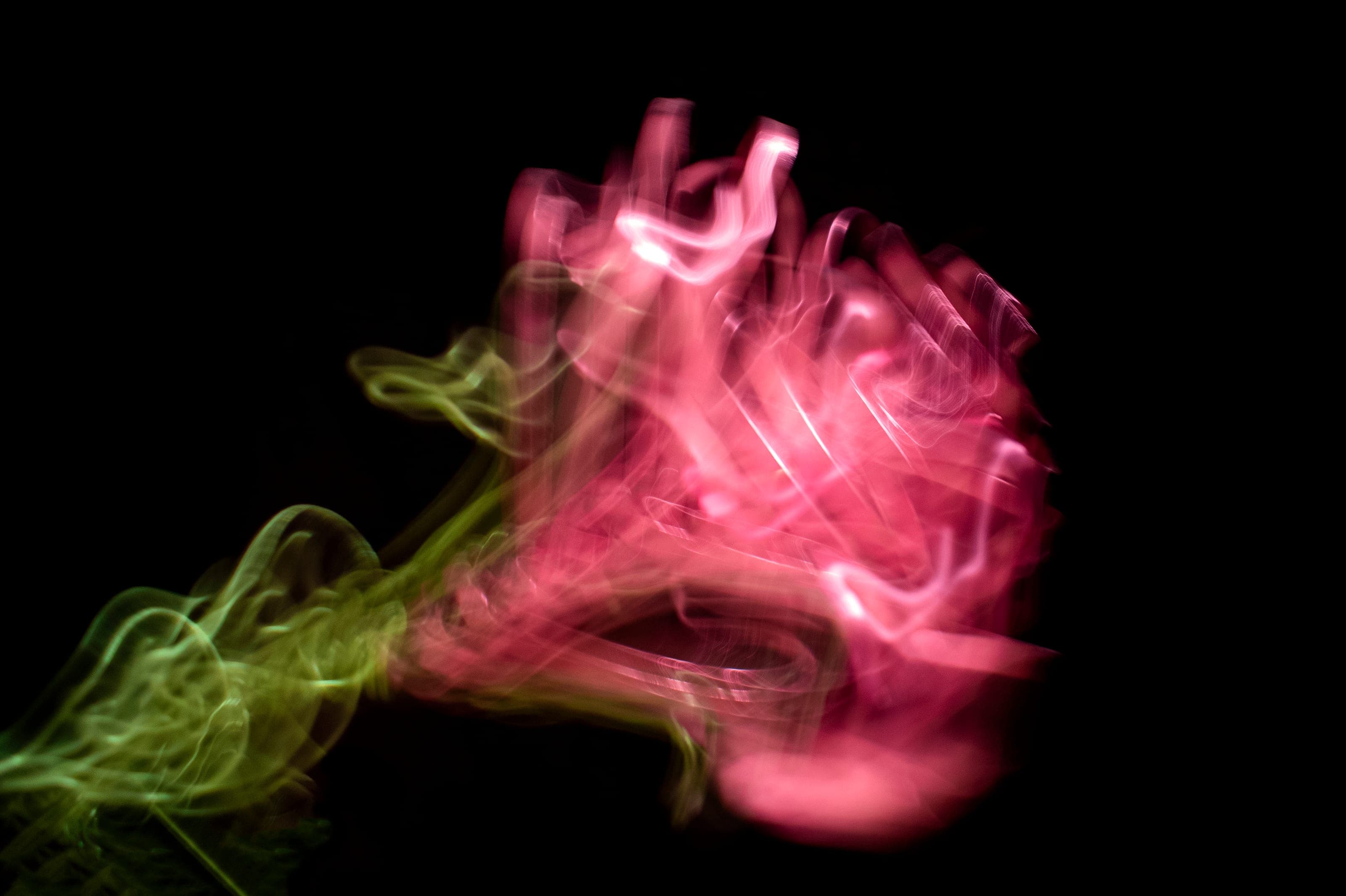 Stills — photograph 7