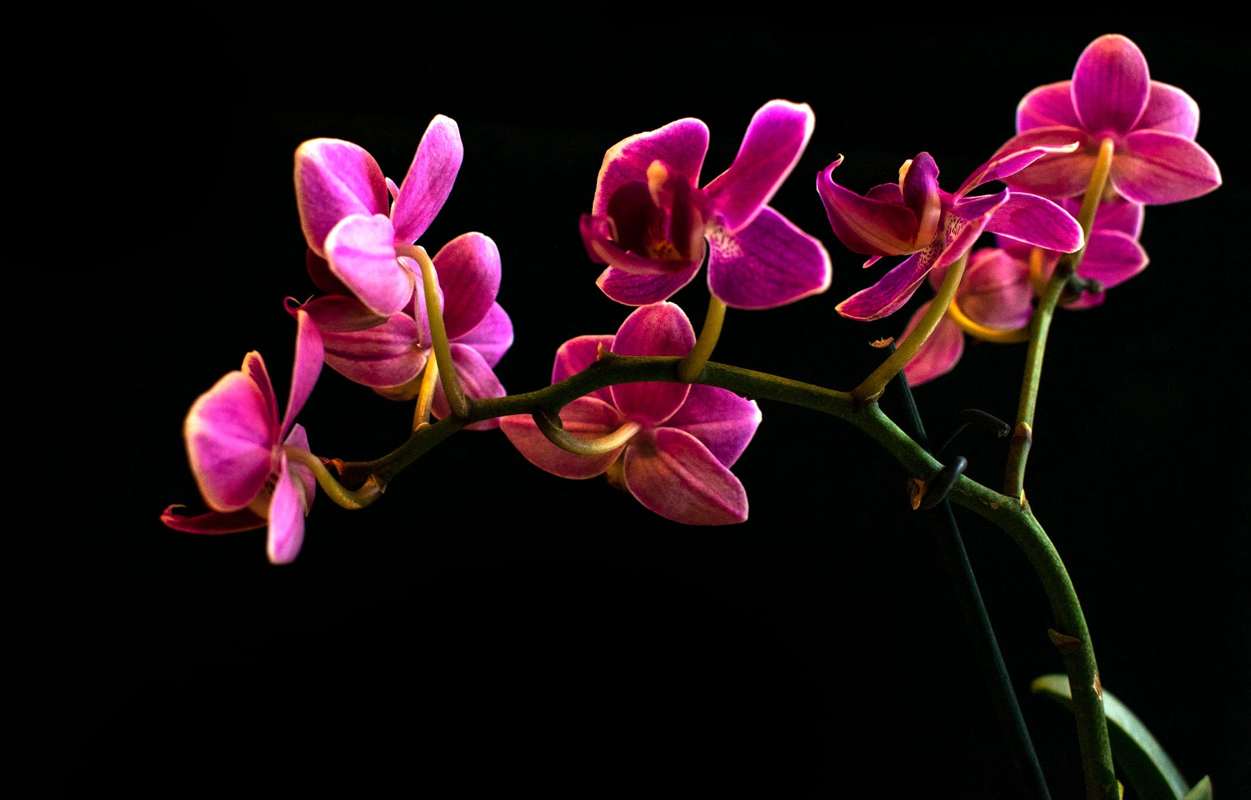 Stills — photograph 8
